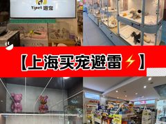 -翊宠yipet猫狗购宠庄园犬舍•猫舍