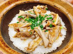 -红星光发煲仔饭(大石街店)