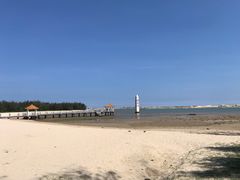 -东郊椰林