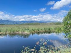 -野鸭湖国家湿地公园