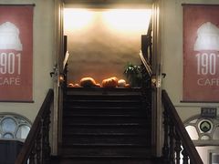 门面-1901 Cafe(西四店)