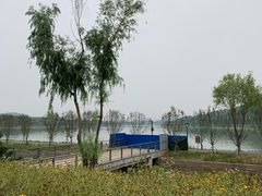 -羊山湖公园