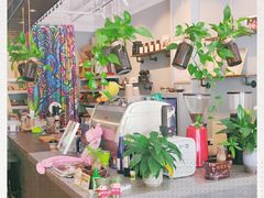 -滇咖啡体验店