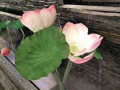 -大榕树下顺德菜(融创茂店)