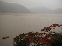 -北岐滩涂