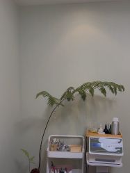 -Lumi露米·美甲美睫品质店