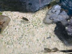 -上海大自然野生昆虫馆(东方明珠·爬宠昆虫探索中心)