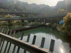 -福道