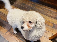 -猫爷的腔调·黔小馆(交大医学住宅区店)
