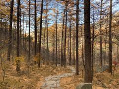 -崂山九水游览区
