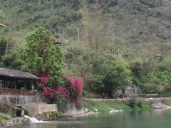 -长寿村