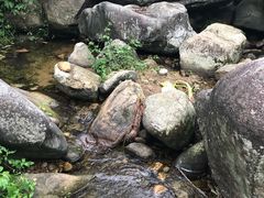 -鸡枕山