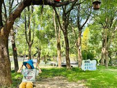 -宁波九龙湖开元度假村