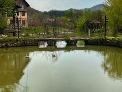 -黄陂区野村谷景区