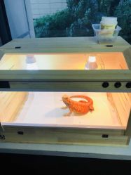 -鬼著刺青工作室·纹身设计