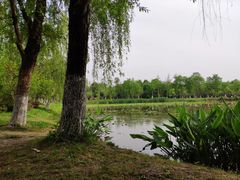 -白鹭湾湿地公园