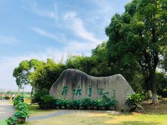 -荷塘月色湿地公园·向阳花洲
