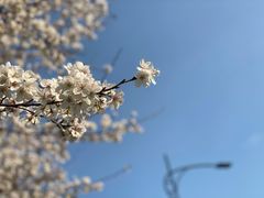 -杭州文化广播电视集团