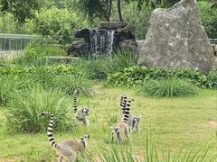 -秦皇岛野生动物园
