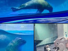 -正佳极地海洋世界