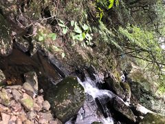 -白云源风景区