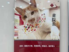 -御宝贝24h宠物医院·转诊中心·CT核磁血透中心(厦门总院)