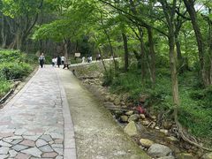 -北仑森林植物园