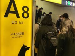 -涩谷区