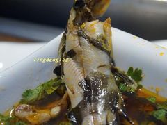 -大妙火锅·非物质文化遗产(东湖公园店)