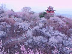 -北京明城墙遗址公园