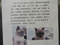 -霖公馆SPA·足道(普善路店)