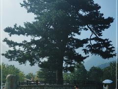 -秦岭终南山世界地质公园翠华山景区