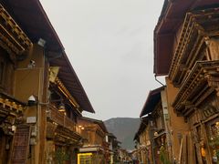 -藏味八珍特色火锅