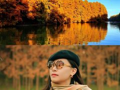 -上海海湾国家森林公园