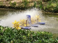 -合肥滨湖国家森林公园