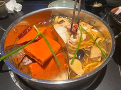 -季季山·云南野生菌火锅(上海首店)