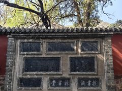 -泰山风景名胜区-普照寺