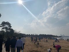 -瑶湖郊野森林公园