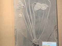 -城市传媒广场