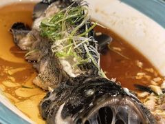 -潇湘甲鱼村(清河店)