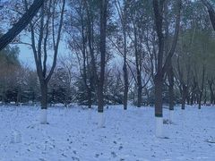 -大兴滨河森林公园