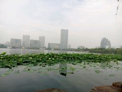 -聚龙湖公园