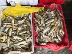 -芦潮港集贸市场