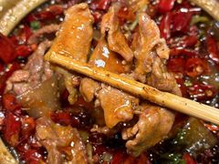 -有红鸡毛店·砂锅菜(抚琴夜市店)