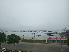 -春妮海味饭店·海景餐厅·海菜包子·大连海鲜