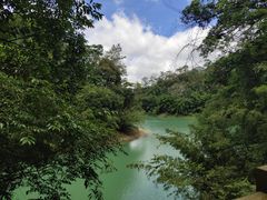 -广州市流溪河国家森林公园
