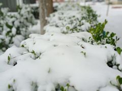 -北门涮肉·炭火铜锅涮肉(什刹海店)