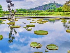 -上海辰山植物园