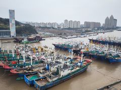 -沈家门渔港