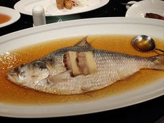 上海蒸鲥鱼-HOMES上海本帮菜(襄阳公园店)